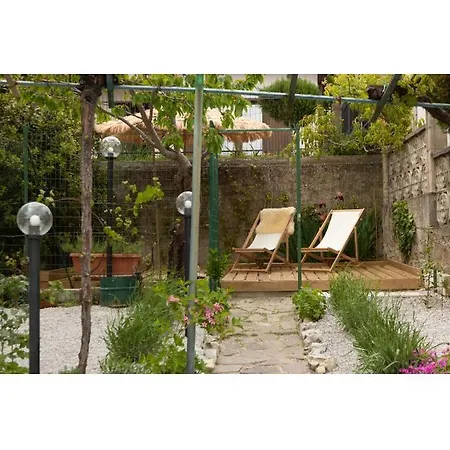 Vitedimare
